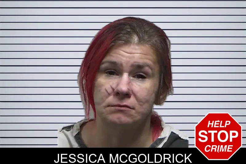 Jessica McGoldrick Mugshots