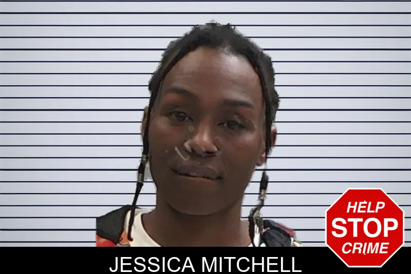 Jessica Mitchell Mugshots