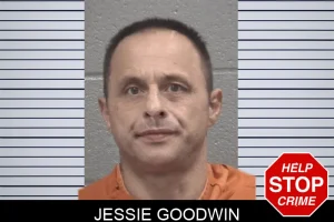 Jessie Goodwin mugshot