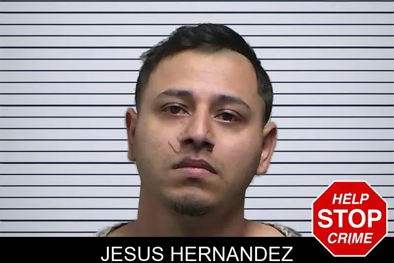 Jesus Hernandez Mugshots