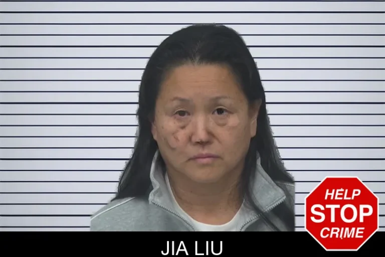 Jia Liu mugshot – Gwinnett County , Georgia Jia Liu