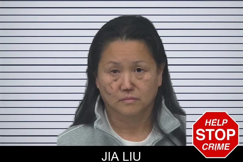 Jia Liu mugshot