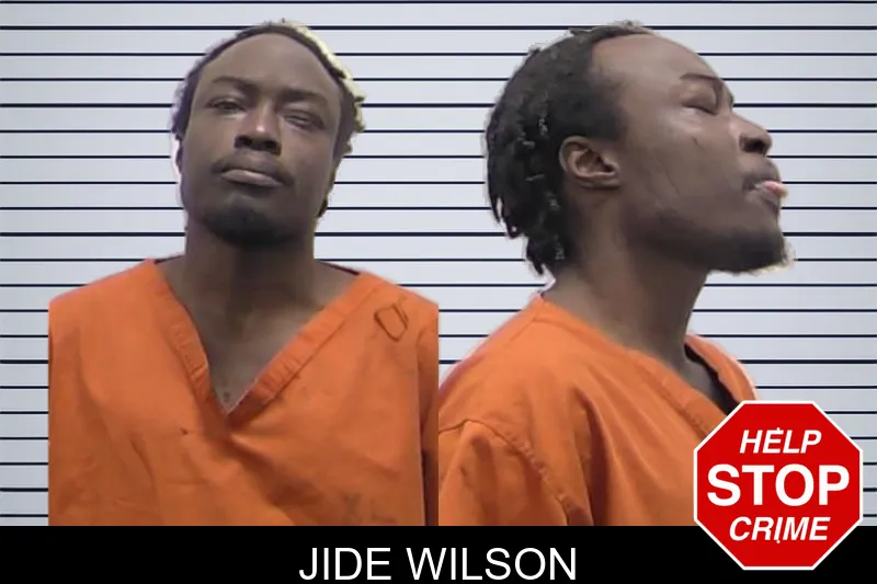 Jide Wilson mugshot