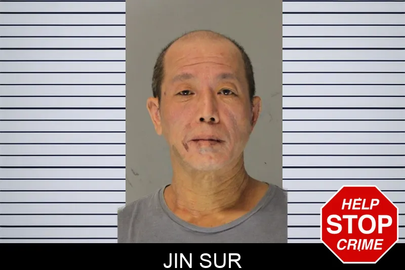 Jin Sur Mugshots