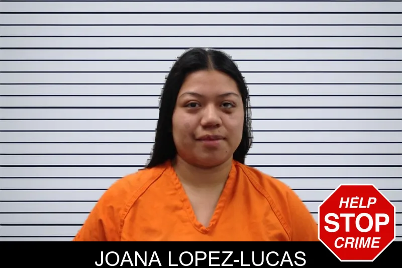 Joana Lopez-Lucas Mugshots