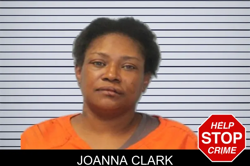 Joanna Clark Mugshots