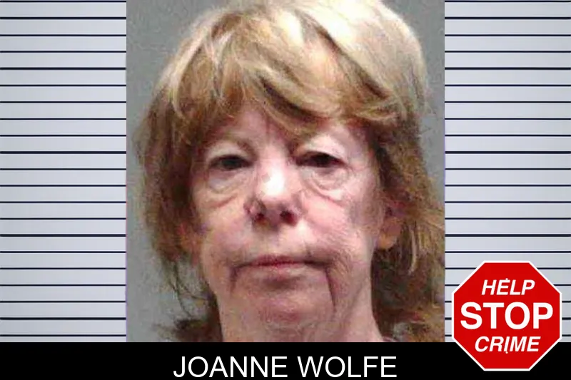 Joanne Wolfe mugshot