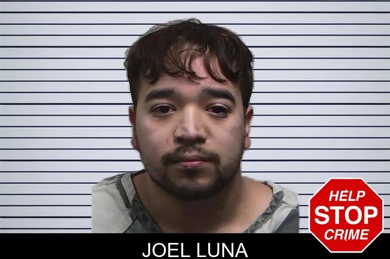Joel Luna mugshot