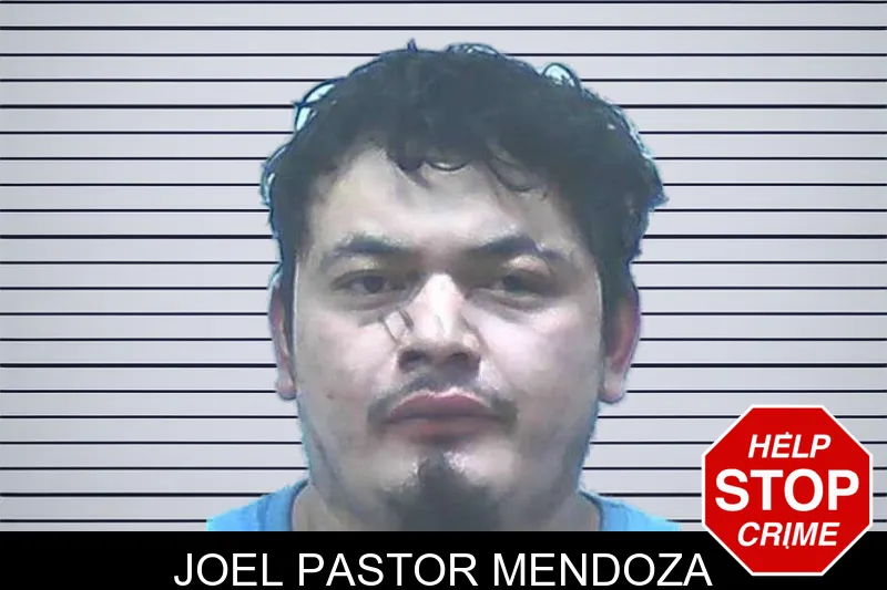 Joel Pastor Mendoza Mugshots