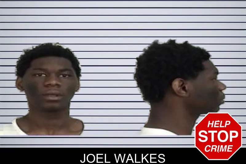Joel Walkes mugshot