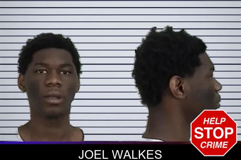 Joel Walkes mugshot – Camden County , Georgia Joel Walkes