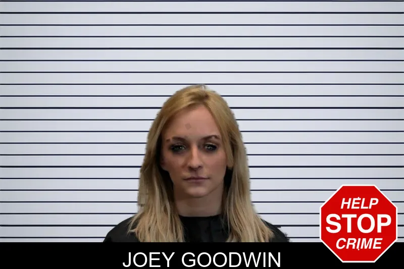 Joey Goodwin mugshot