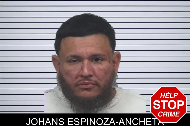 Johans Espinoza-Ancheta Mugshots