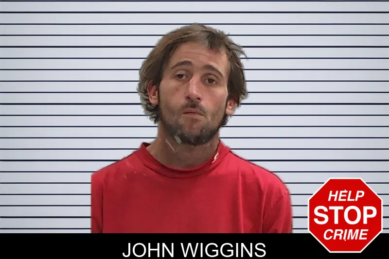 John Wiggins Mugshots