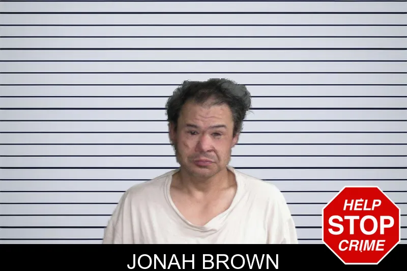 Jonah Brown mugshot