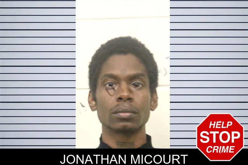 Jonathan Micourt Mugshots