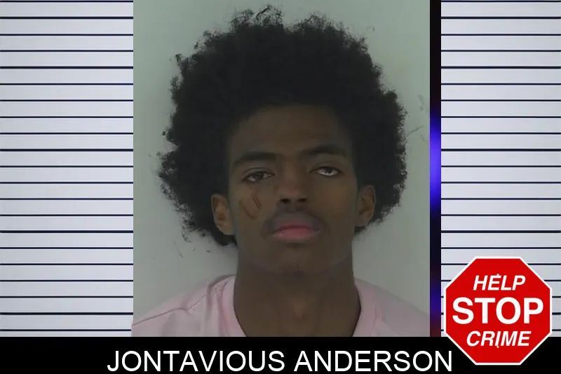 Jontavious Anderson Mugshots