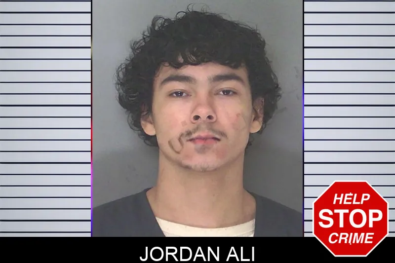 Jordan Ali Mugshots