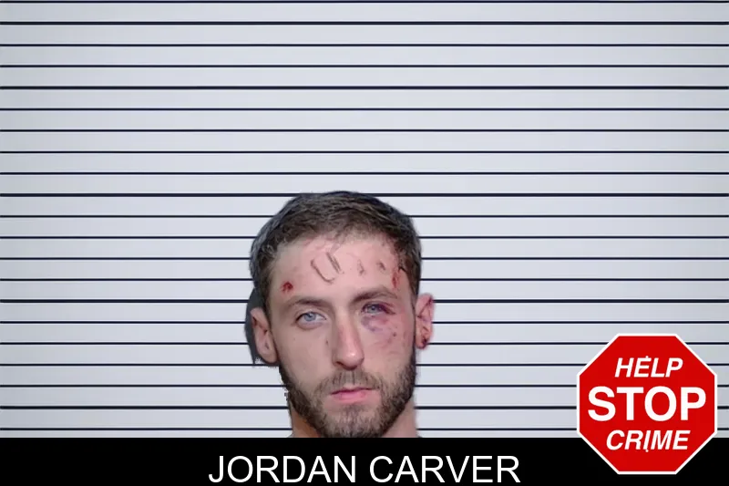 Jordan Carver Mugshots