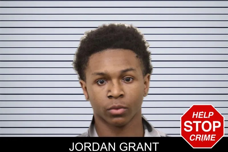 Jordan Grant mugshot – Bulloch County , Georgia Jordan Grant mugshot