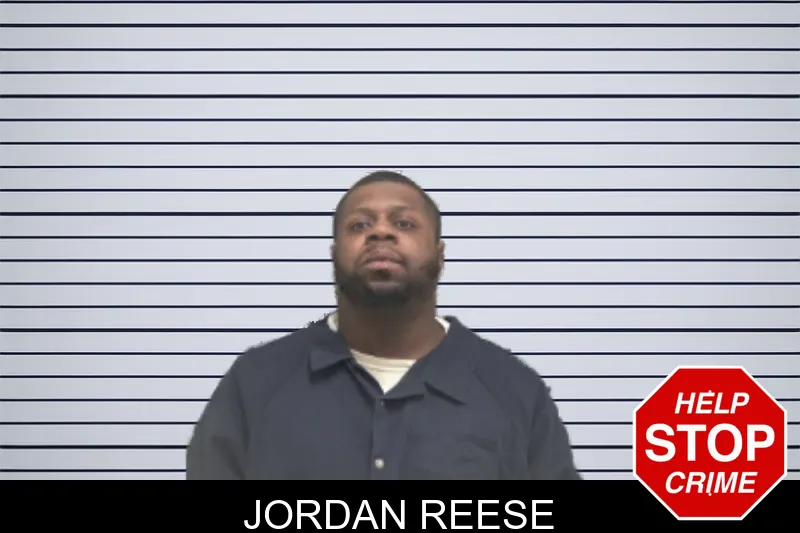 Jordan Reese Mugshots
