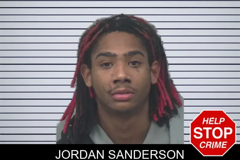 Jordan Sanderson mugshot – Gwinnett County , Georgia Jordan Sanderson