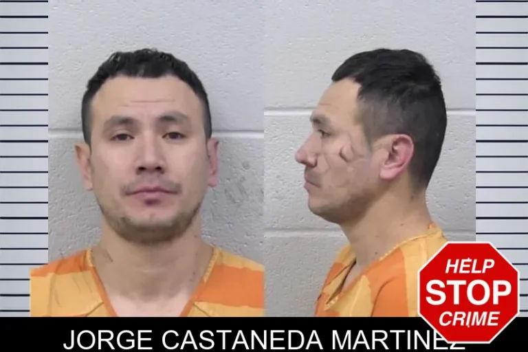 Jorge Castaneda Martinez