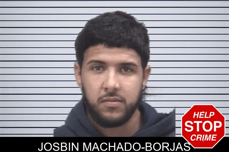 Josbin Machado-Borjas mugshot