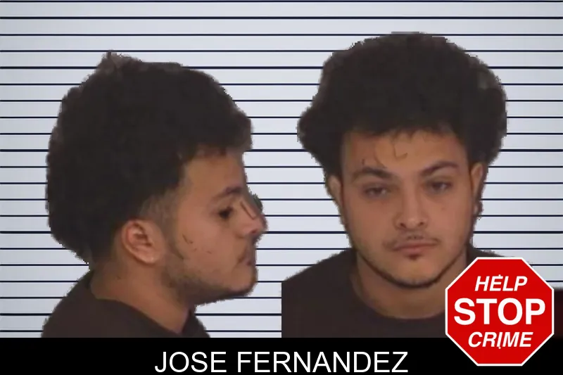 Jose Fernandez mugshot