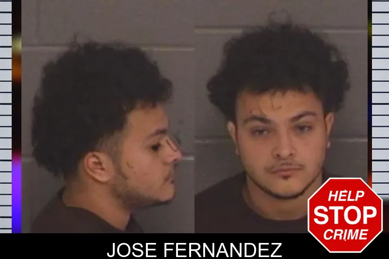 Jose Fernandez Mugshots