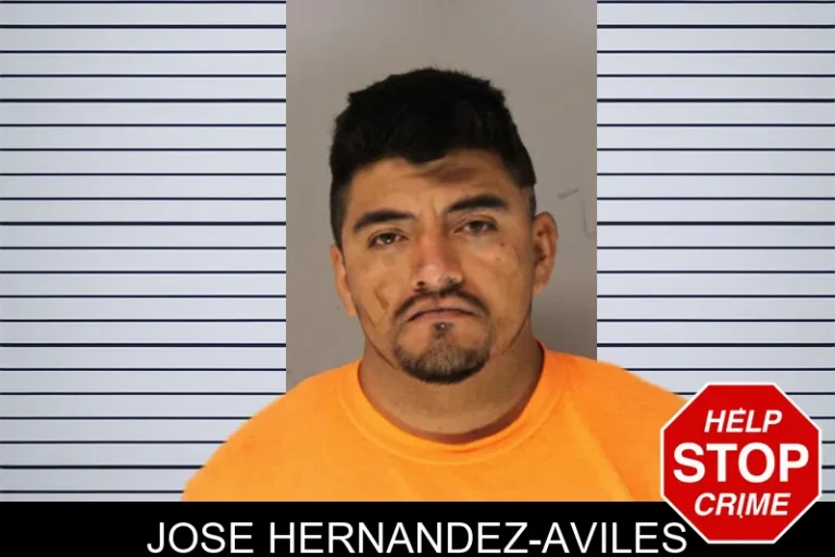 Jose Hernandez-Aviles