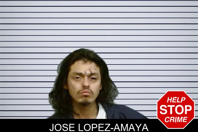 Jose Lopez-Amaya Mugshots