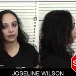 Joseline Wilson Mugshots