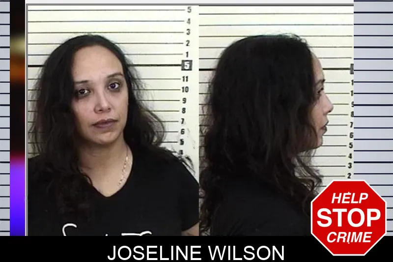 Joseline Wilson Mugshots