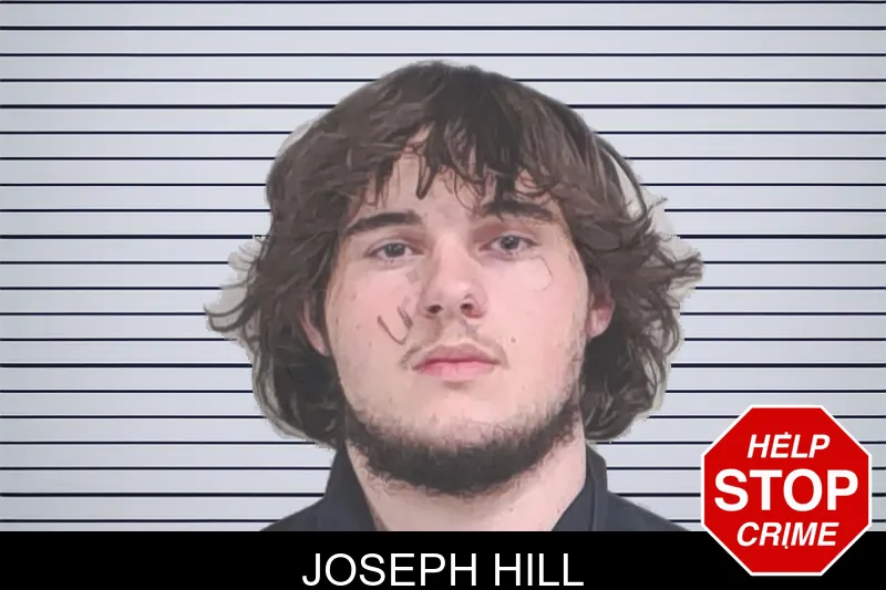 Joseph Hill mugshot – Lowndes County , Georgia Joseph Hill mugshot