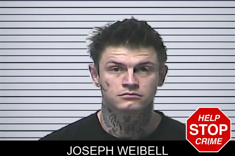 Joseph Weibell mugshot