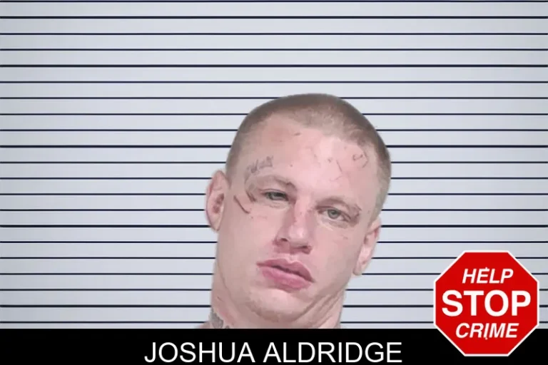Joshua Aldridge mugshot – Lowndes County , Georgia Joshua Aldridge