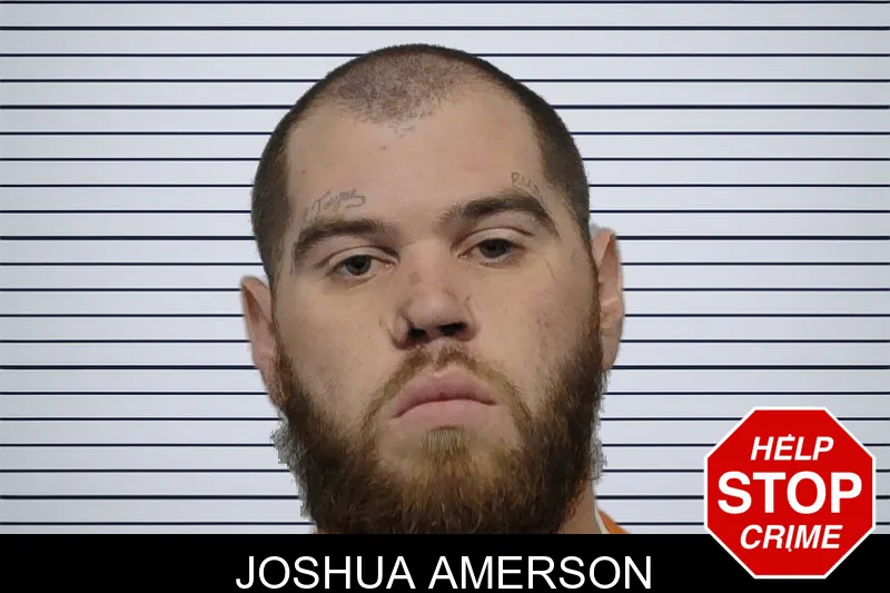 Joshua Amerson Mugshots