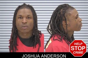 Joshua Anderson mugshot