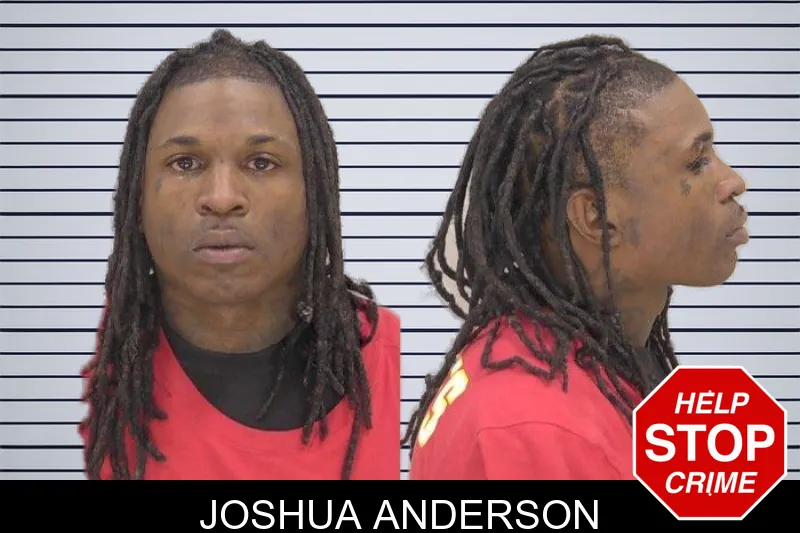 Joshua Anderson Mugshots