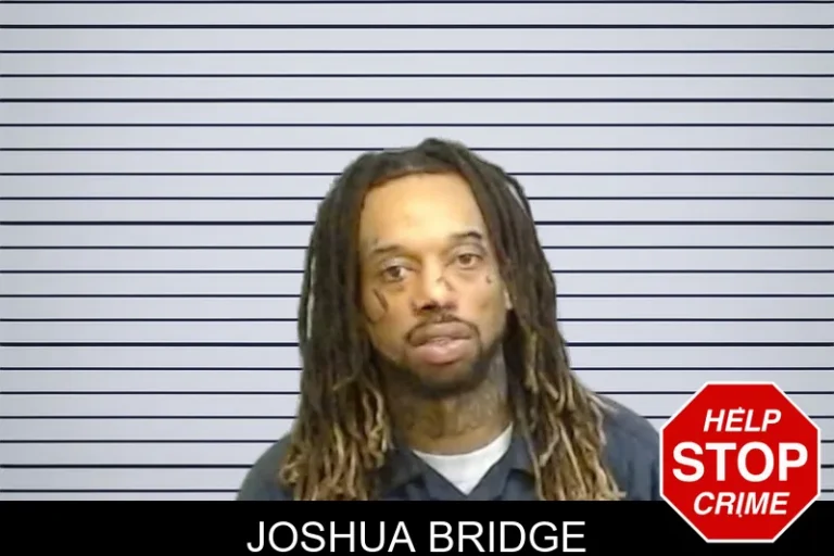 Joshua Bridge