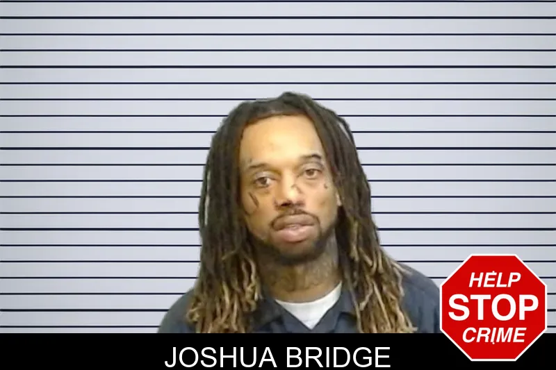 Joshua Bridge mugshot