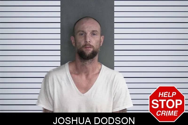 Joshua Dodson Mugshots