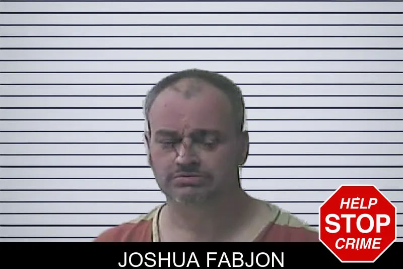Joshua Fabjon Mugshots