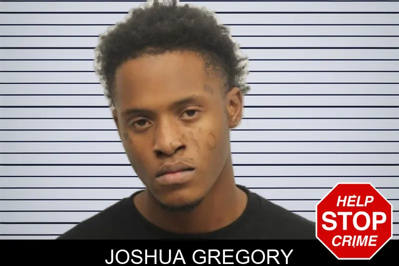 Joshua Gregory mugshot – Chatham County , Georgia Joshua Gregory mugshot