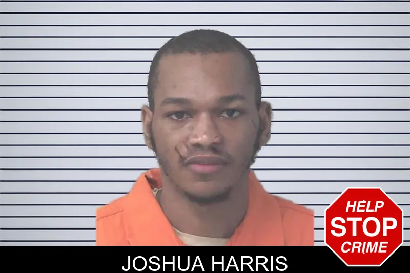 Joshua Harris Mugshots
