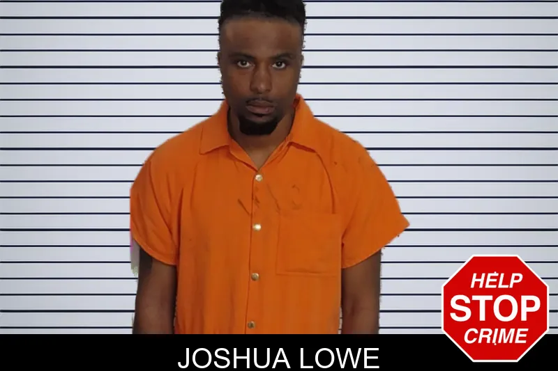 Joshua Lowe mugshot