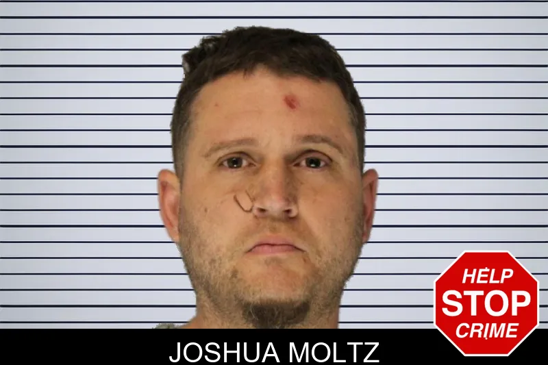 Joshua Moltz Mugshots
