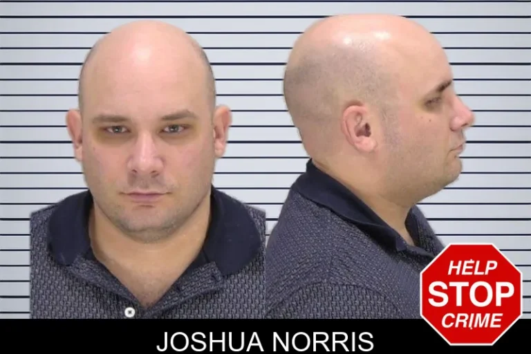 Joshua Norris