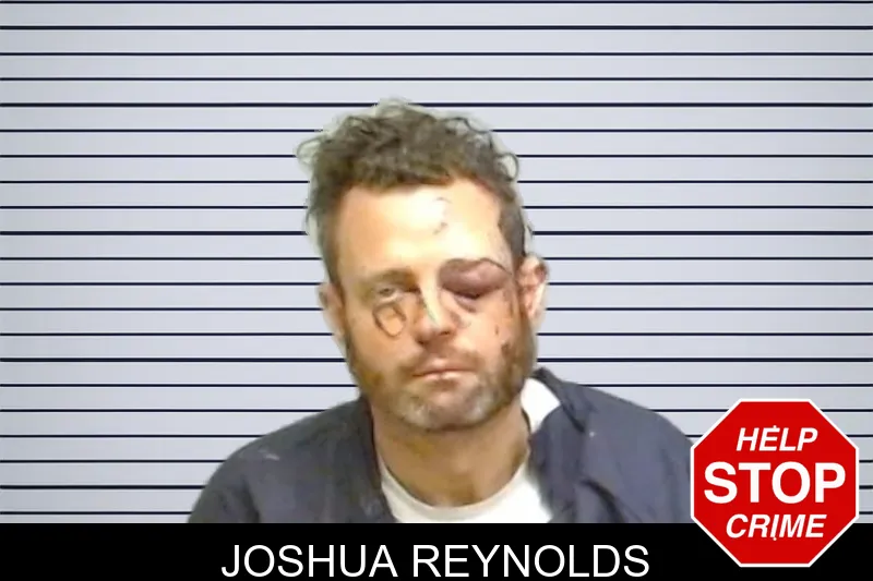 Joshua Reynolds mugshot